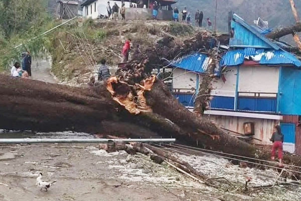 हावाहुरीले ताप्लेजुङमा ७५ लाख बढीको क्षति
